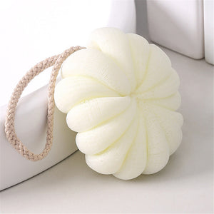 SHELL LOOFAH